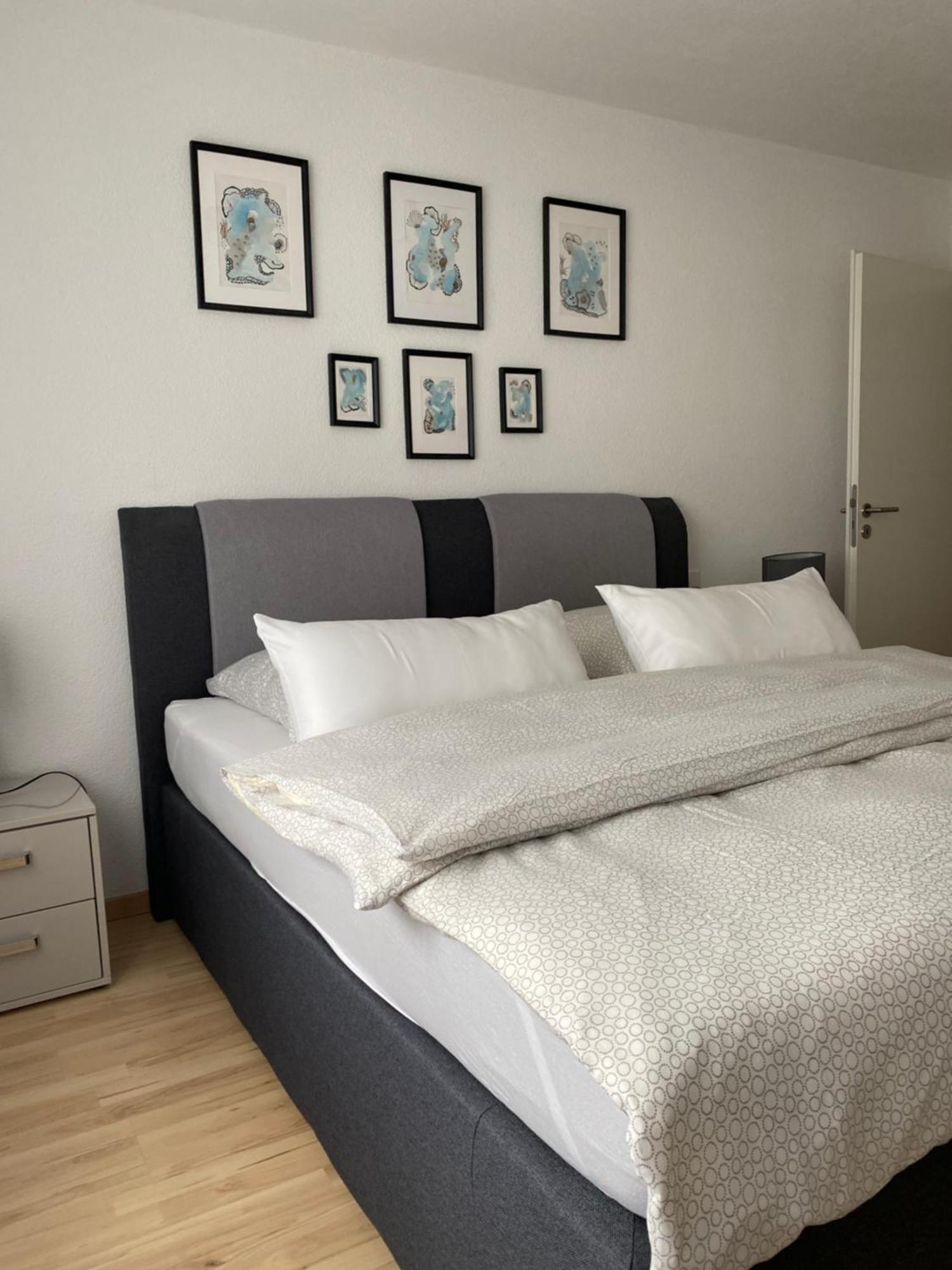 Gemuetliches City Apartment フリードリヒスハーフェン エクステリア 写真